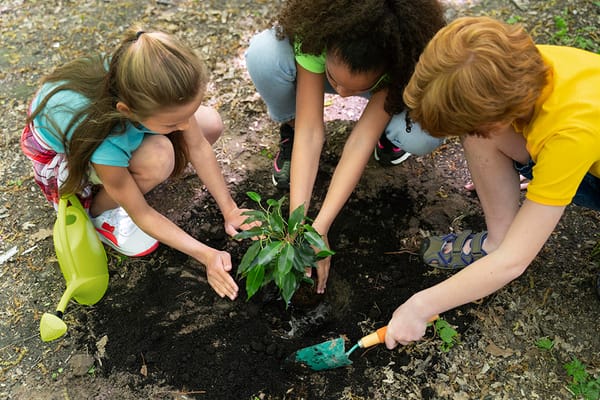 Educação e Sustentabilidade: construindo um futuro mais consciente!